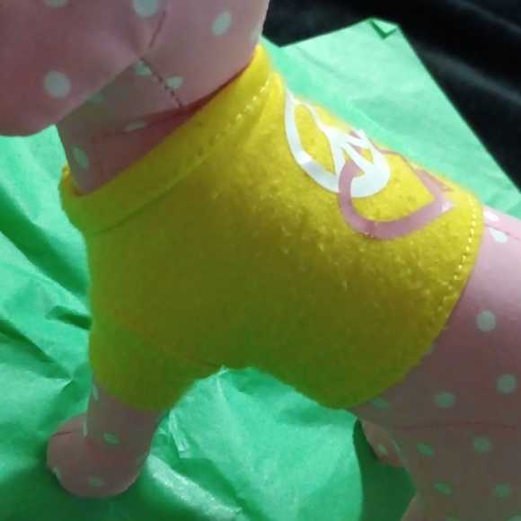 Pink vs puppy 🐶! - Picture 6 of 6